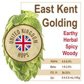 East Kent Golding (UK) Hops